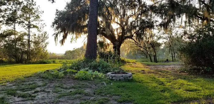 Driftwood RV Park 4