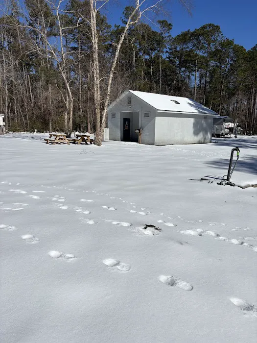 Nearshore 17 Campground 2