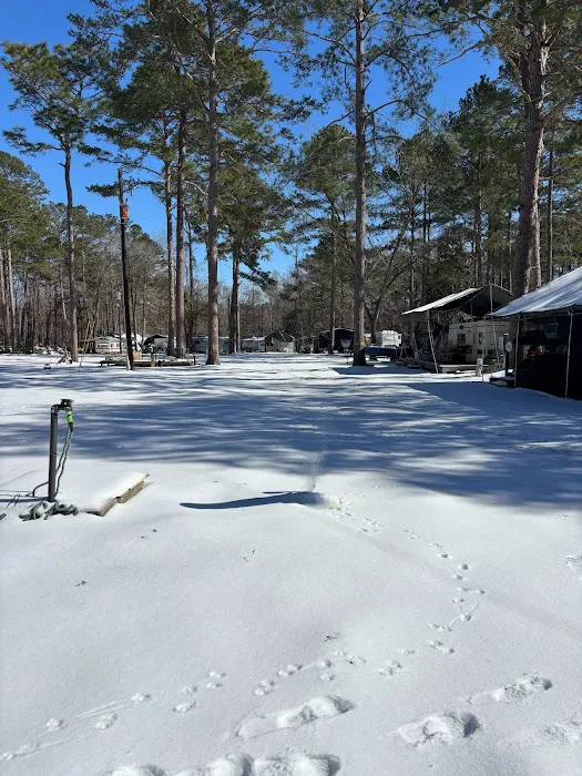 Nearshore 17 Campground 4