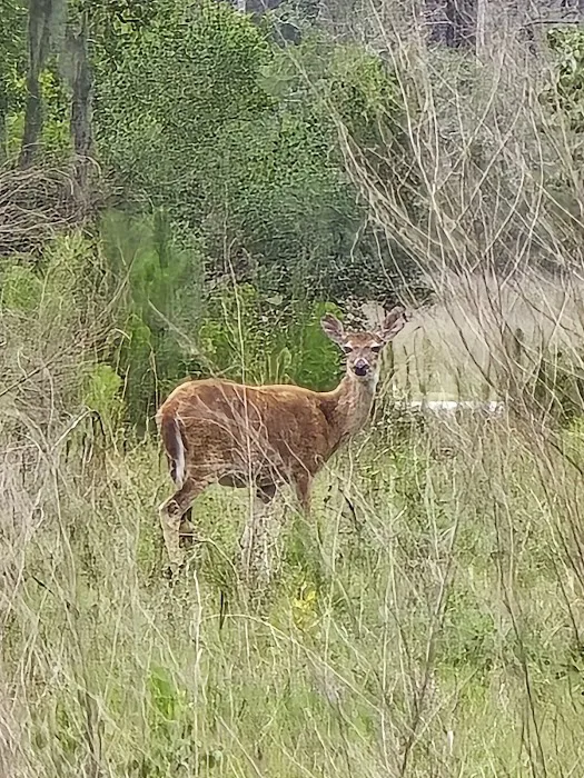 Parris Island RV Park 2