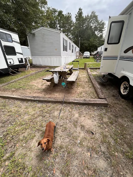 Pine Acres Campground RV Park 5