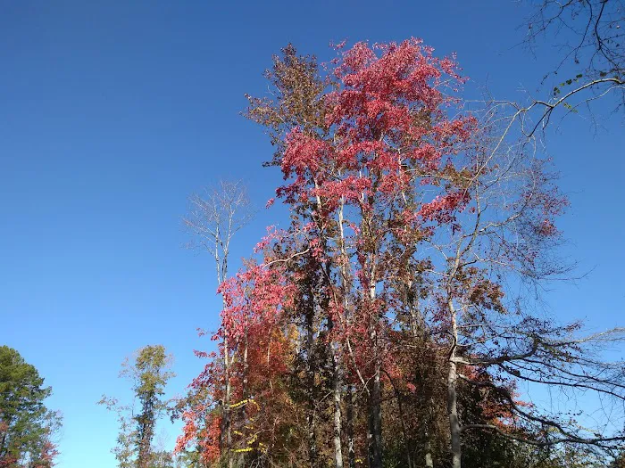 BayPoint RV Park 5