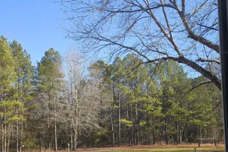 M&N Campground