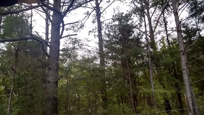 M&N Campground 5