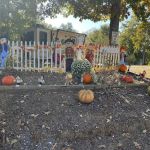 Yellowleaf Campground, RV, Apartments