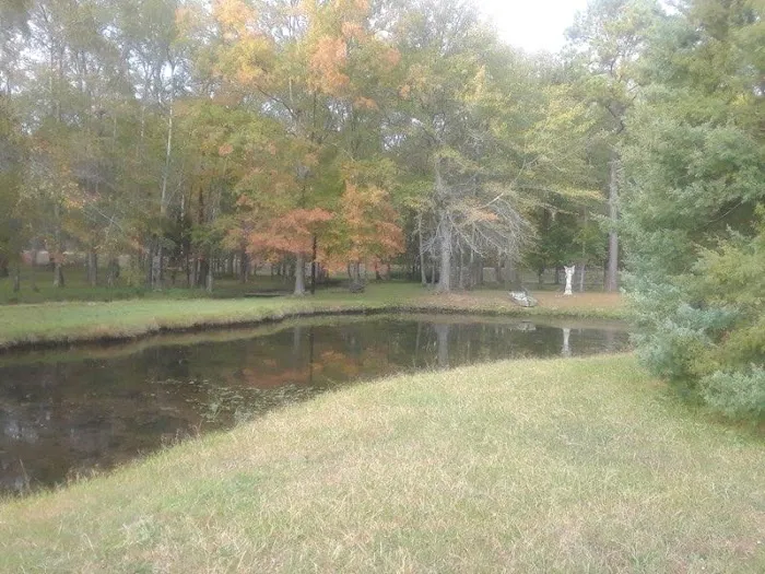Hawks RV Park 2