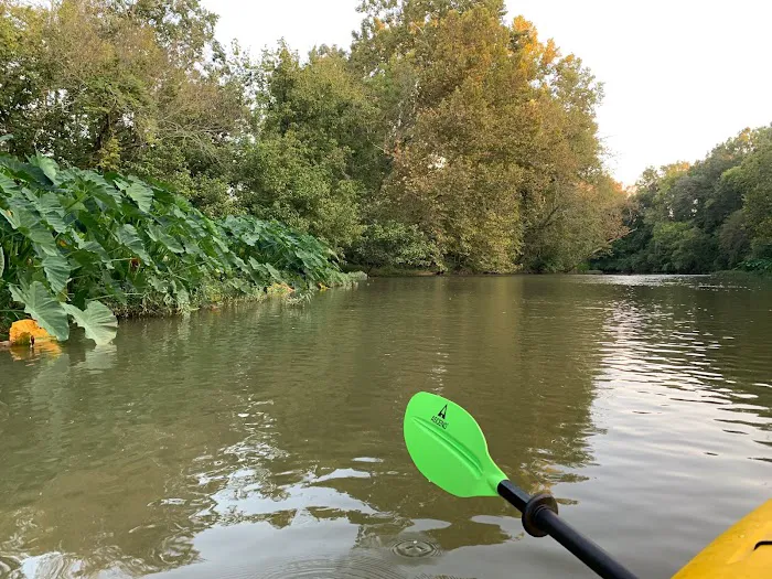 Choccolocco Creek Campground 4