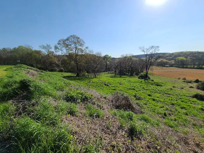 Choccolocco Creek Campground 7