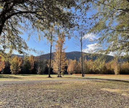 Chief Ladiga Trail Campground