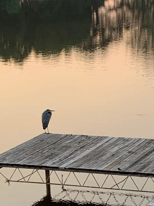Lake Haven RV Retreat 10