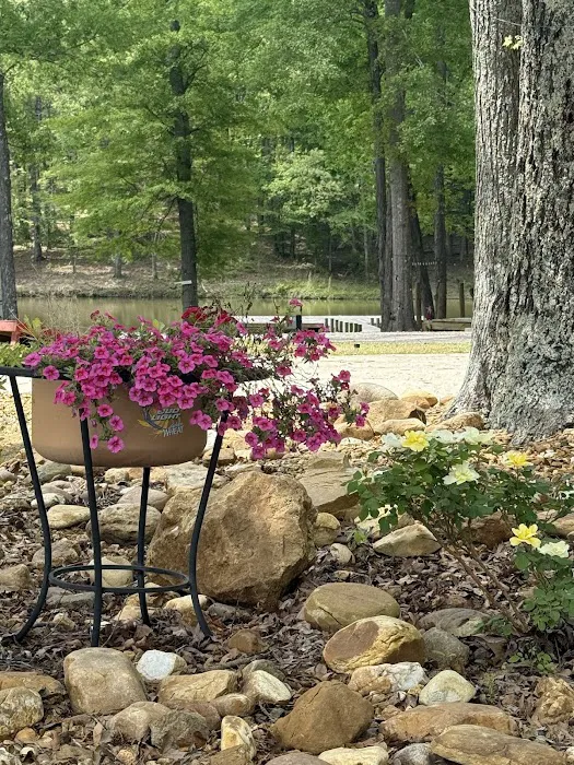 Salt Lick Cove Campground 3