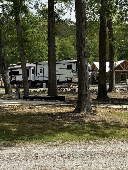 Salt Lick Cove Campground 6