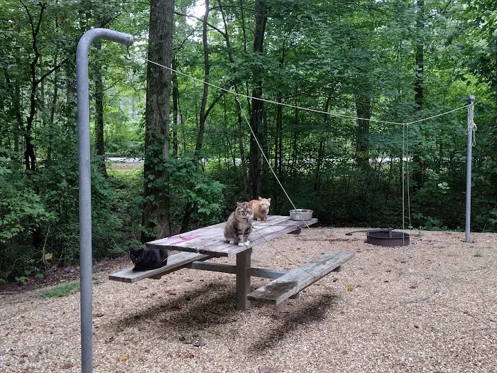 Coleman Lake Campground and Picnic Area 2