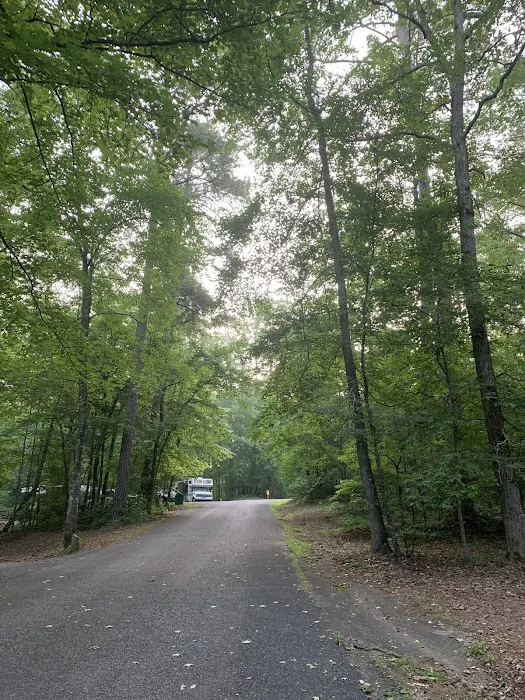 Coleman Lake Campground and Picnic Area 6