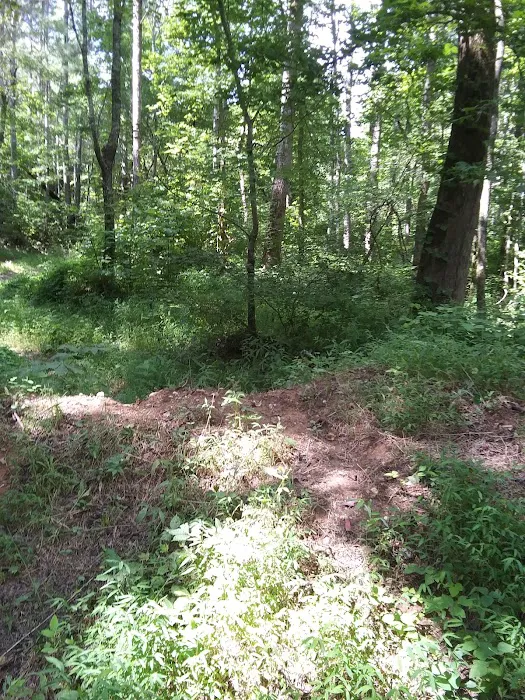 Coleman Lake Campground and Picnic Area 4