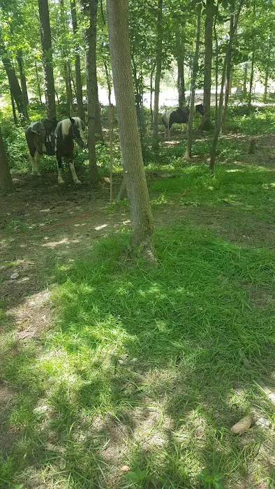 Warden Station Horse Camp 2