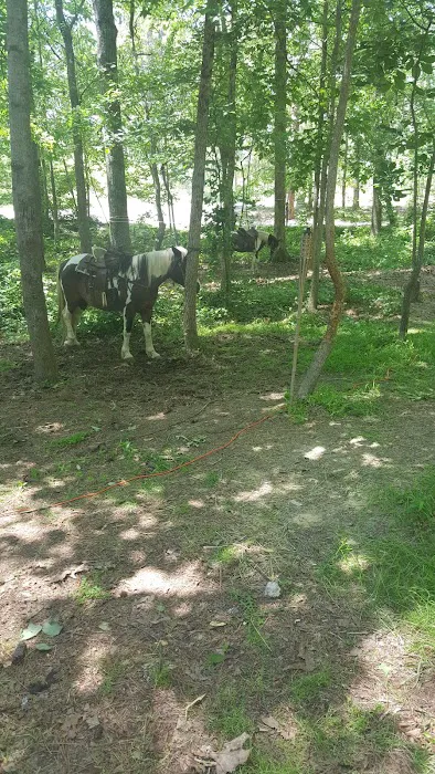 Warden Station Horse Camp 9