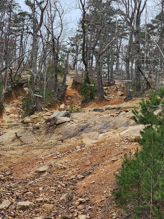 Choccolocco Mountain 10