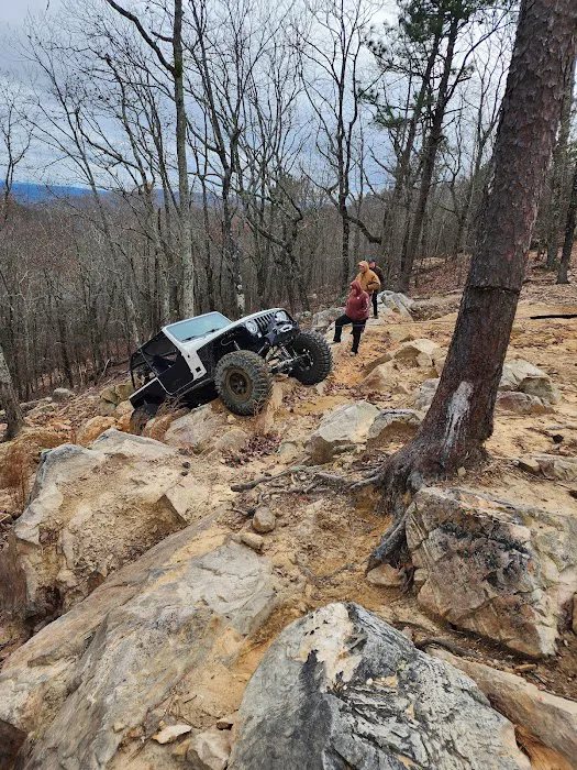 Choccolocco Mountain 11