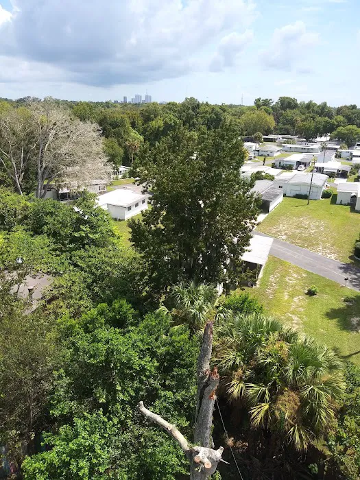 Colonial Colony North 7
