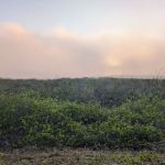 Roper Island Central Florida council BSA