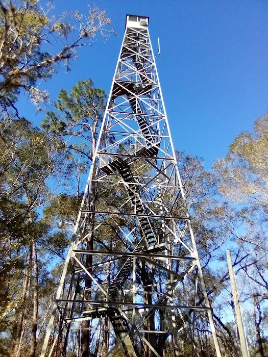 FNST High Bluff Camp 1
