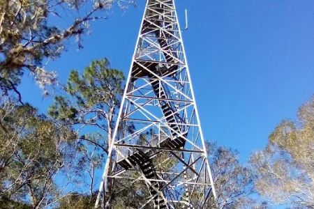 FNST High Bluff Camp