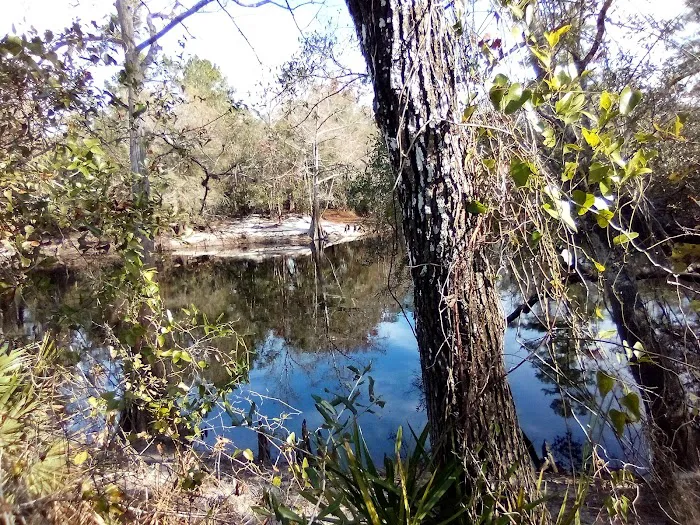 FNST High Bluff Camp 3