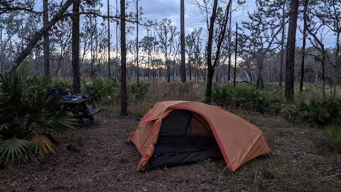 FNST High Bluff Camp 6
