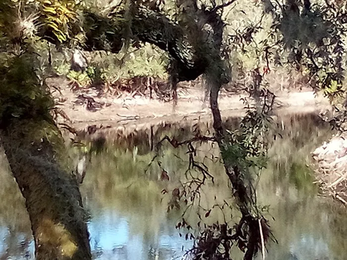 FNST High Bluff Camp 9