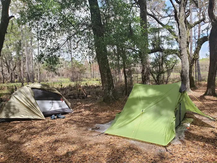FNST Foster Bridge Campsite (Backcountry) 2