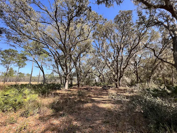 FNST Foster Bridge Campsite (Backcountry) 4