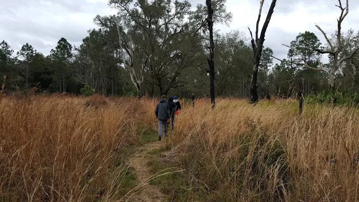 FNST Foster Bridge Campsite (Backcountry) 5
