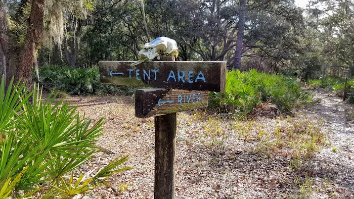 FNST Foster Bridge Campsite (Backcountry) 9