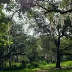 Florida Baptist Encampment