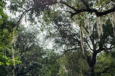 Florida Baptist Encampment