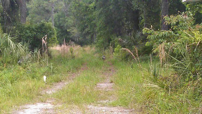 CHIEF ARIPEKA TRAVEL PARK 4