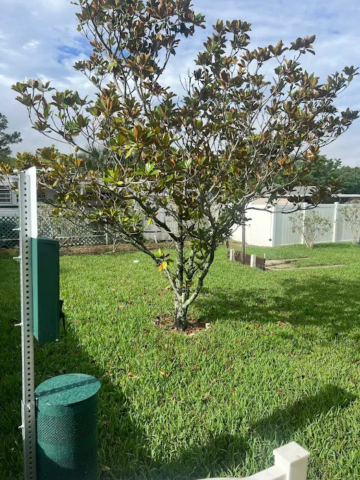 Gulf Breeze RV Park 6