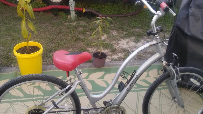 Gulf Breeze RV Park 9