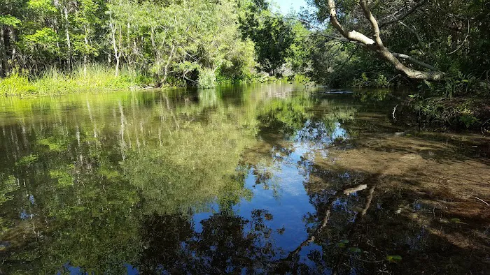 Indian Mound Camp Ground 8