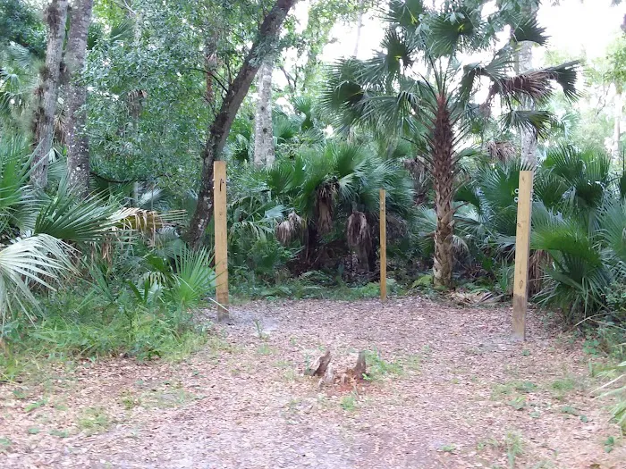 Big Fork Campsite 1
