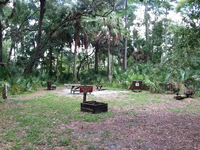 Big Fork Campsite 3