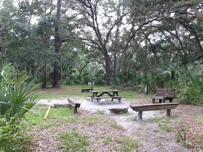 Big Fork Campsite 7