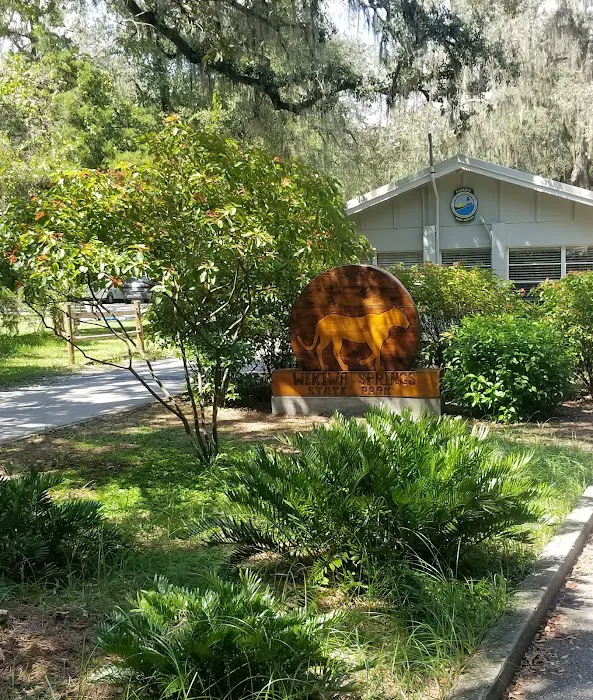 Wekiwa Springs State Park Campground 1
