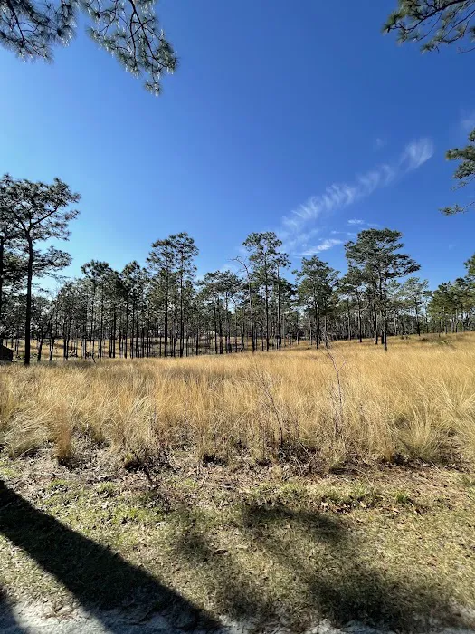 Wekiwa Springs State Park Campground 6