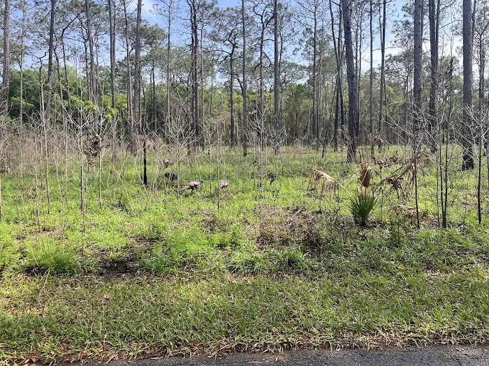 Wekiwa Springs State Park Campground 9