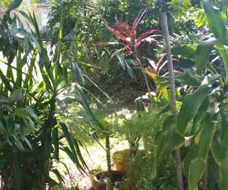 Park Avenue Mobile Park