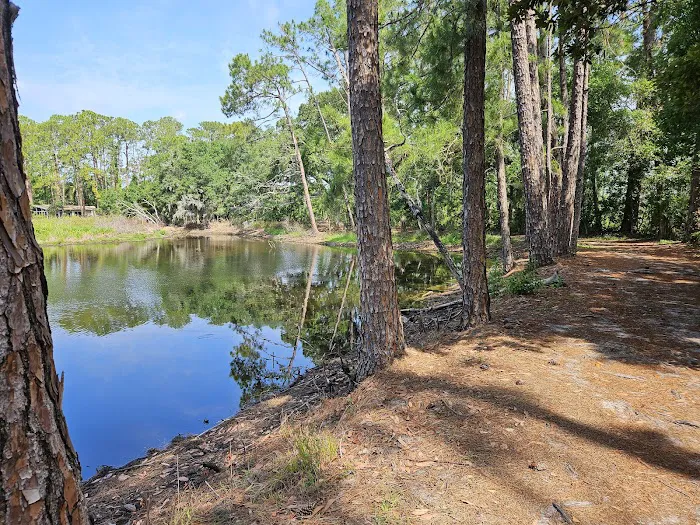 Bee's RV Resort 8