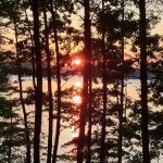 Campsite 19