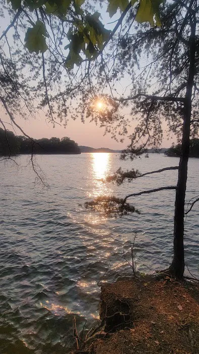 Campsite 19 5